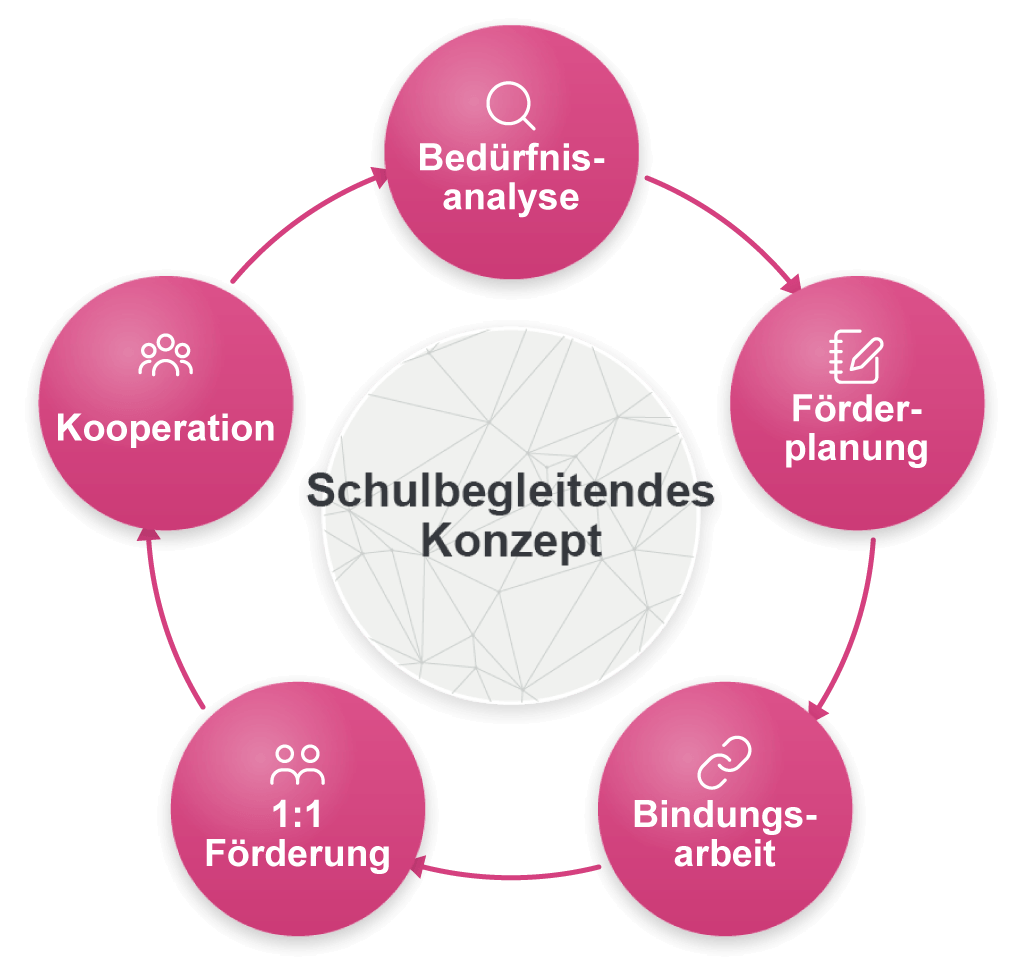 Grafik Schulbegleitendes Konzept
