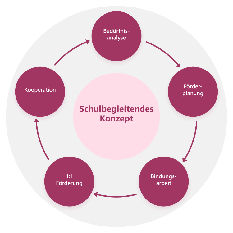Grafik Schulbegleitendes Konzept